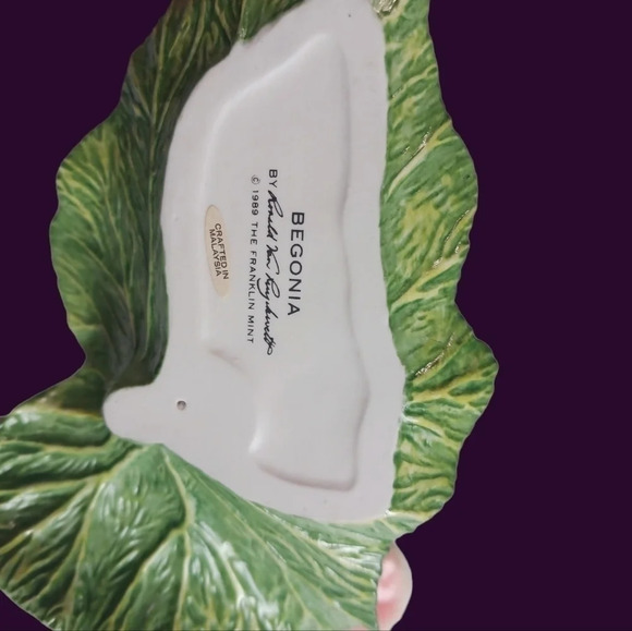 Begonia Ronal V.Ruykevelt Franklin mint begonia - Picture 4 of 4